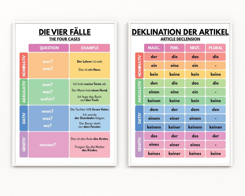 Image: Wie du deine Wochenendausflüge mit deiner Katze perfektionierst